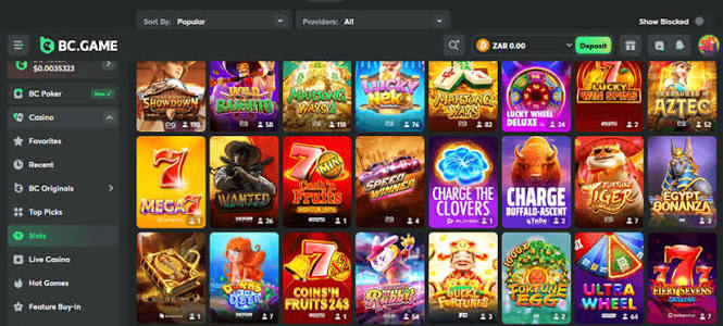 Explore the Exciting World of BC.Game Platform
