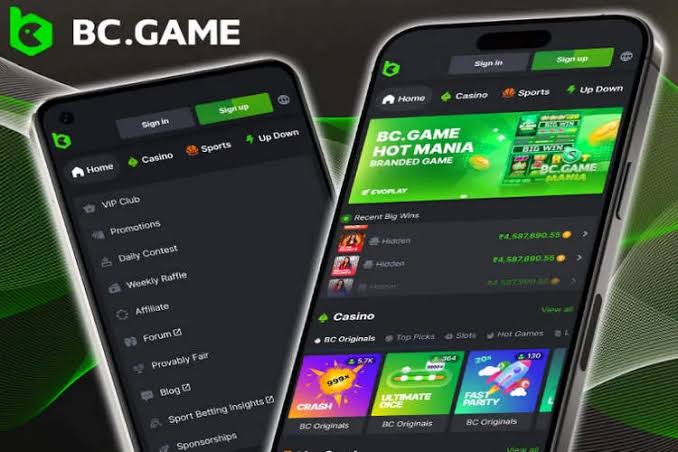 Unlocking the Excitement A Comprehensive Guide to BC.Game Bonus Codes