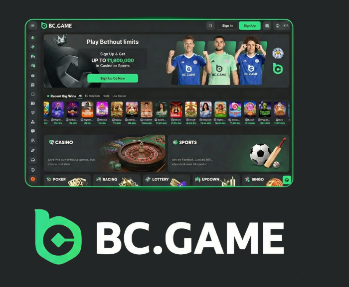 Step-by-Step Guide to the BC.Game Registration Process -233663385 Step-by-Step Guide to the BC.Game Registration Process -233663385